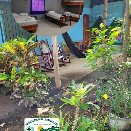 Hostal Xilotl San Jose del Sur Bagian luar foto